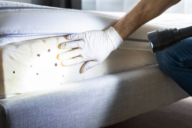 Best Emergency Pest Control  in Upper Greenwood Lake, NJ
