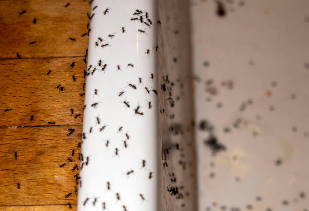 Best Wildlife Control Services  in Upper Greenwood Lake, NJ