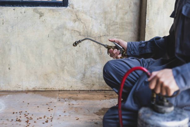 Best Pest Removal Services  in Upper Greenwood Lake, NJ